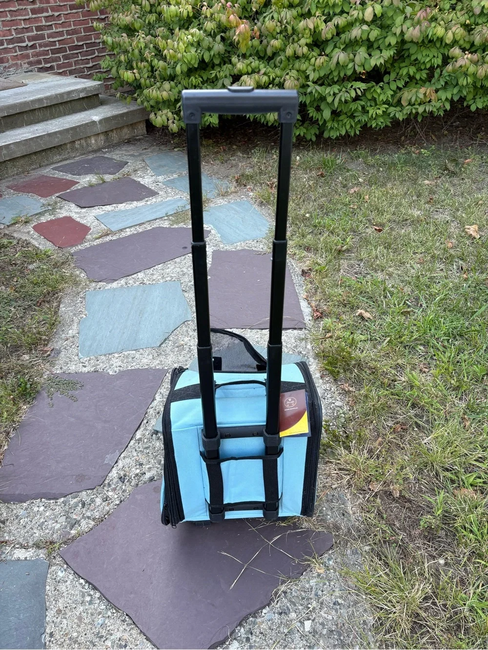 Blue Small Pet Rolling Carrier with Telescoping Handle